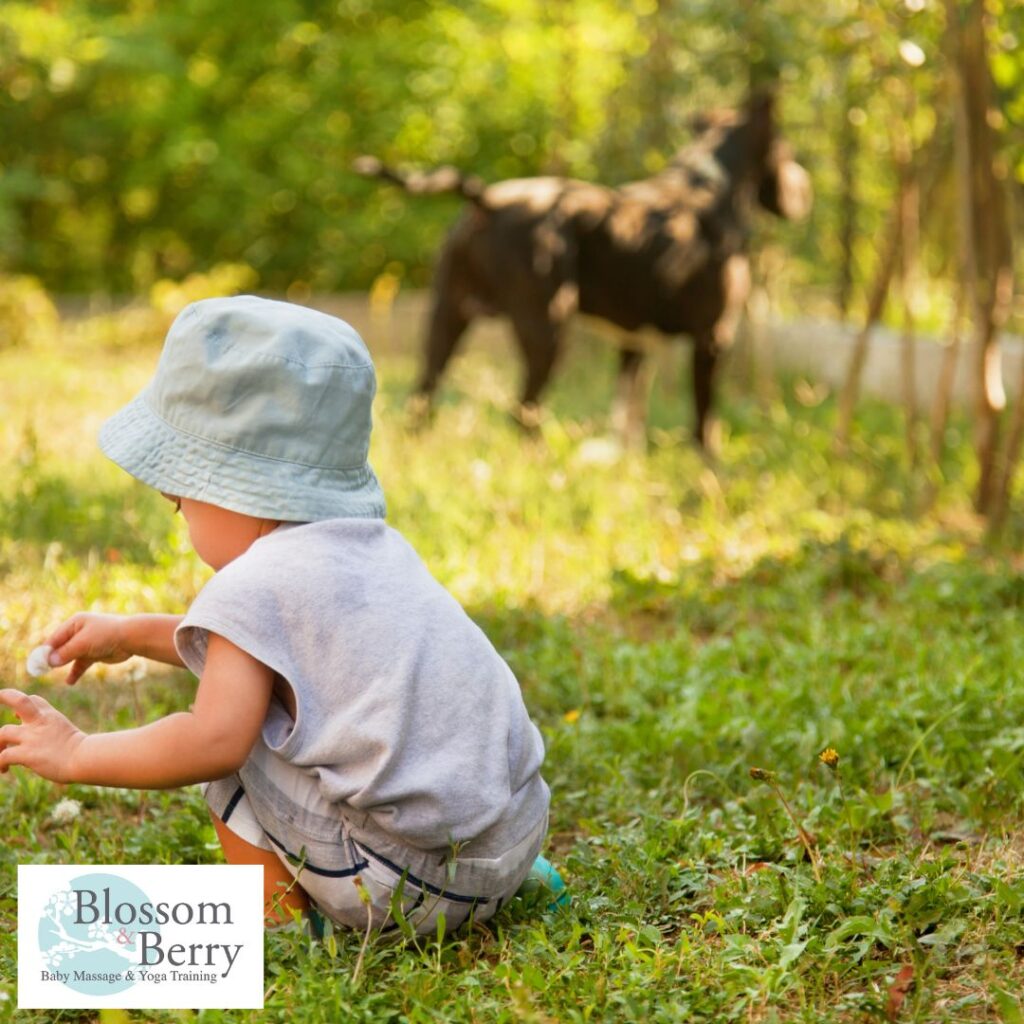 Benefits of Nature for Babies - picture of a toddler bent down on the grass in a field with a dog nearby